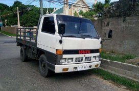 ISUZU Elf Truck With Steel Siding White For Sale 
