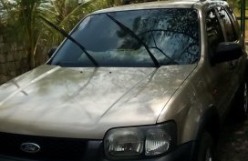 Ford Escape 2004 A/T Golden For Sale 