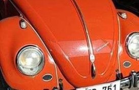 Buy Now! 1964 Limited Beetle