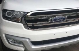 2017 Ford Everest DSL Trend 4x2 AT (For Assume)