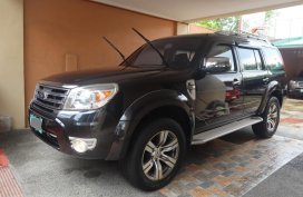 2013 Ford Everest for sale
