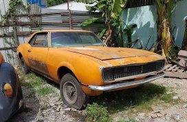 Chevy Camaro 1967 for sale 