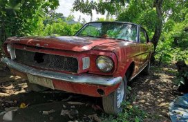 Ford Mustang 1967 for sale