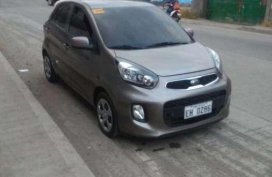 RUSH Kia Picanto 2017 model