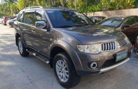 2010 Mitsubishi Montero for sale