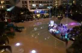 2014 Ford mustang for sale