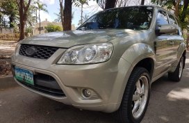 Ford Escape 2010 for sale
