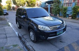 Ford Escape 2010 for sale