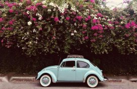 Volkswagen Beetle 1969 for sale