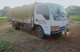 1999 Isuzu Elf for sale 