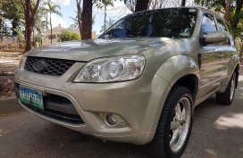 Ford Escape 2010 for sale