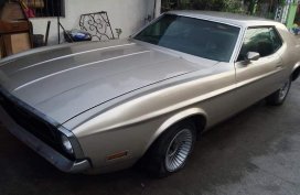 1971 Ford Mustang for sale 