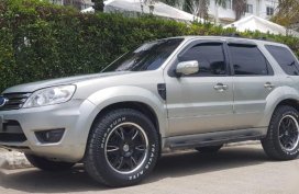 2009 Ford Escape for sale in Puerto Princesa