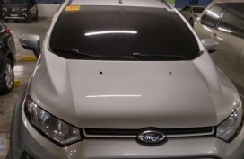 2014 Ford Ecosport for sale in Baliuag