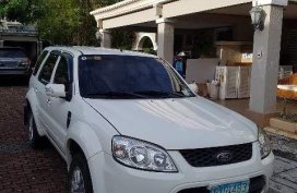 Selling Used Ford Escape 2010 in Biñan