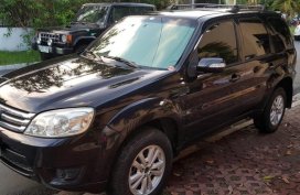 2nd Hand Ford Escape 2009 for sale in Parañaque