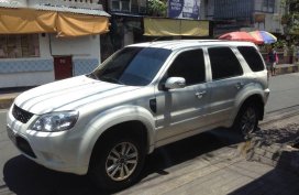 Selling 2013 Ford Escape for sale in Pasig