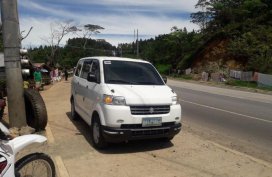 Used Suzuki Apv Manual Gasoline for sale in Polomolok