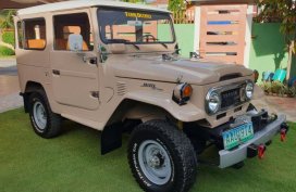 1978 Toyota Land Cruiser for sale in Dumaguete
