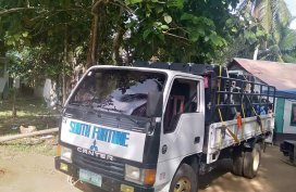 Selling White Isuzu Elf 2004 Truck in Iloilo