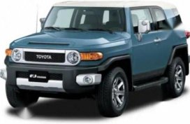 Selling Toyota Fj Cruiser 2019 Automatic Gasoline in Pateros