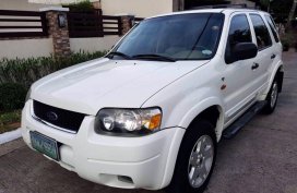 Sell 2nd Hand 2007 Ford Escape Automatic Gasoline at 100000 km in Parañaque