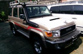 2019 Toyota Land Cruiser for sale in Quezon City