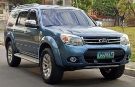 Blue Ford Everest 2008 Automatic Diesel for sale in Manila