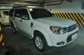 2014 Ford Everest for sale in Taytay