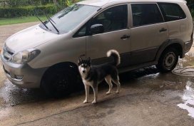 2007 Toyota Innova for sale in Mandaue 