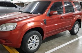 2013 Ford Escape for sale in Taguig 