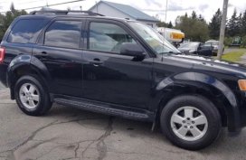 2010 Ford Escape for sale in Paranaque 