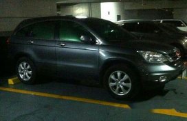 Sell Grey 2010 Honda Cr-V in Malabon