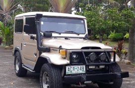 1975 Toyota Land Cruiser for sale in Silang