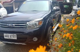 Ford Everest 2014 for sale in Iloilo City