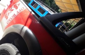 2009 Ford Ranger for sale in Naga