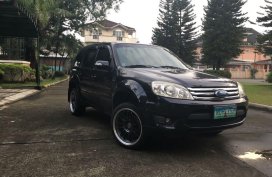2010 Ford Escape for sale in Pasig