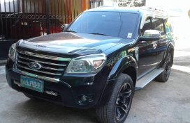 2010 Ford Everest for sale in Calamba 