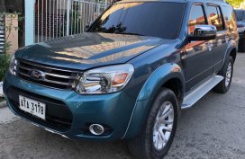2015 Ford Everest for sale in Cebu City 