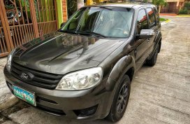 Grey 2009 Ford Escape for sale in 
