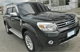 2014 Ford Everest for sale in Malolos 