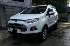 2017 Ford Ecosport for sale in Pasig 