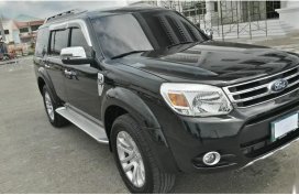 Selling Ford Everest 2013 in Malolos