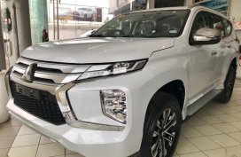 Sell 2020 Mitsubishi Montero Sport in Baliuag