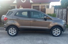 2014 Ford Ecosport Titanium (Top of the line model) 