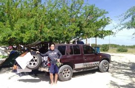 Sell Purple 1996 Nissan Terrano Wagon (Estate) in Manila