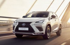 Lexus NX 300h