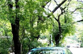 Blue Audi A4 2009 for sale in Quezon City