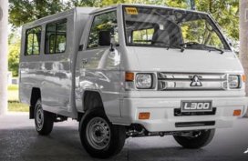 Mitsubishi L300 FB DUAL AC 3000 Manual