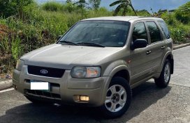 Selling Silver Ford Escape 2007 in Manila